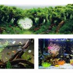 Оформление аквариума: примеры и варианты с камнями и растениями