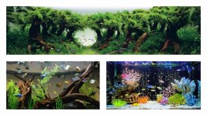 Оформление аквариума: примеры и варианты с камнями и растениями