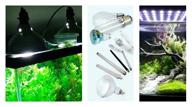 лампы для аквариума