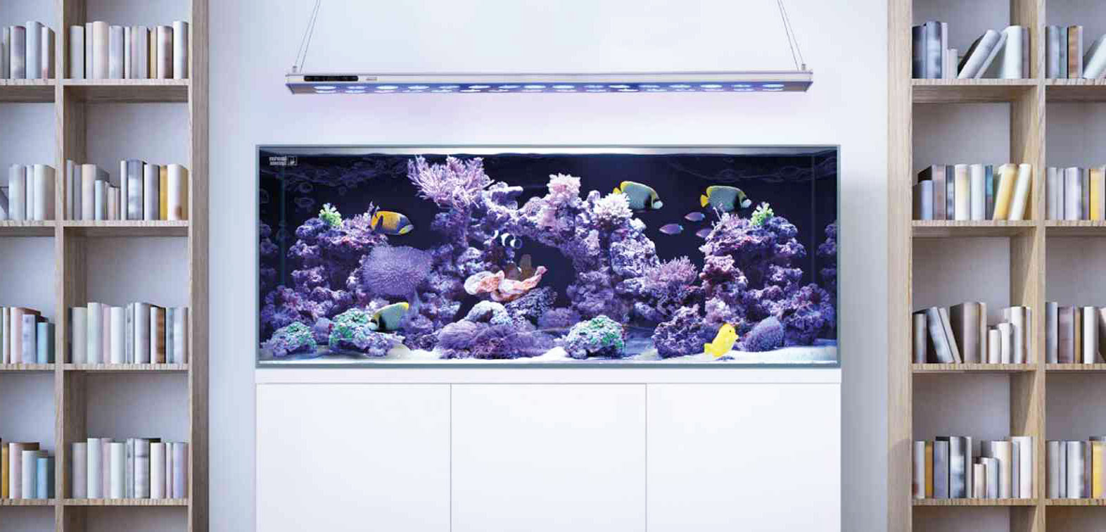 Домашний морской аквариум