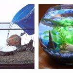 Какая вода нужна для аквариума с рыбками: свойства аквариумной воды